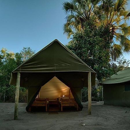 Motsebe Backpackers Hotel Maun Exterior photo