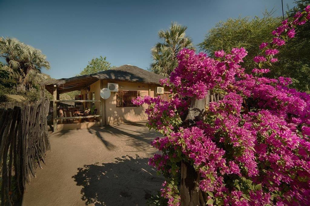 Motsebe Backpackers Hotel Maun Exterior photo