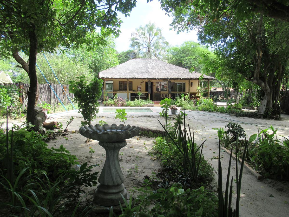 Motsebe Backpackers Hotel Maun Exterior photo