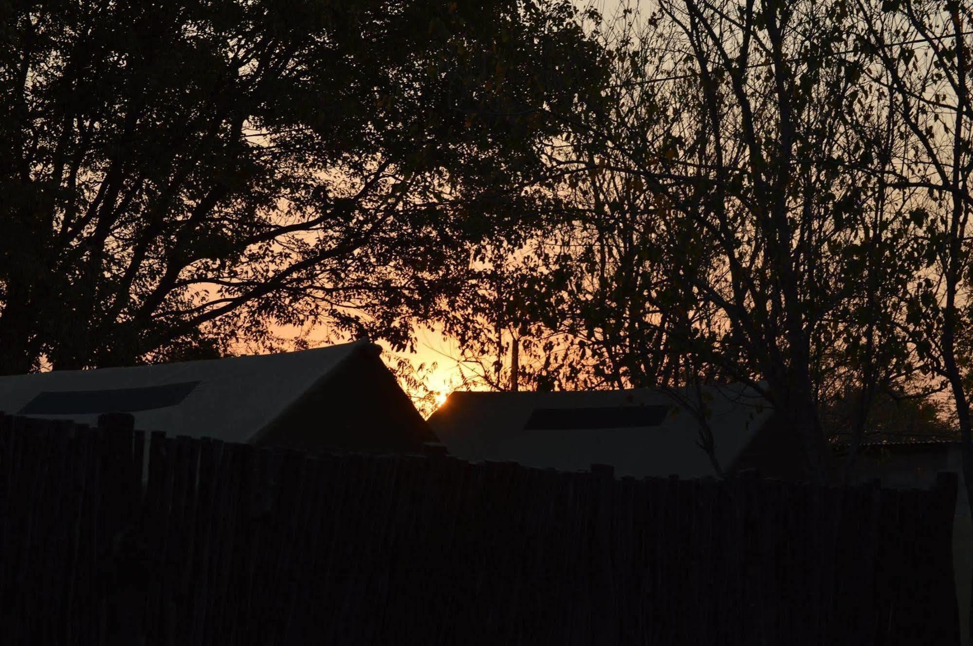 Motsebe Backpackers Hotel Maun Exterior photo