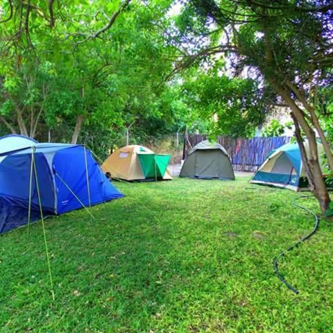 Motsebe Backpackers Hotel Maun Exterior photo