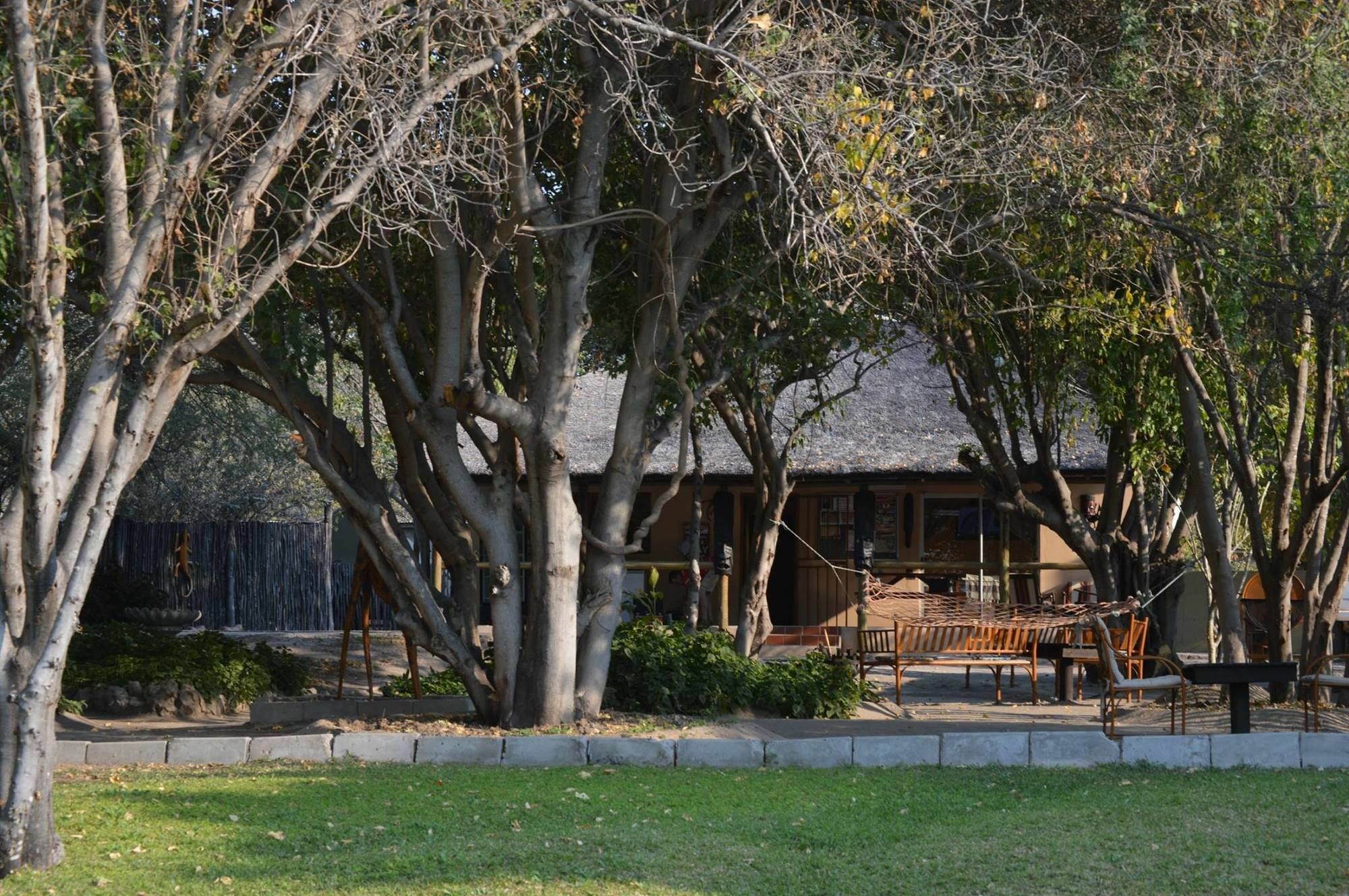 Motsebe Backpackers Hotel Maun Exterior photo
