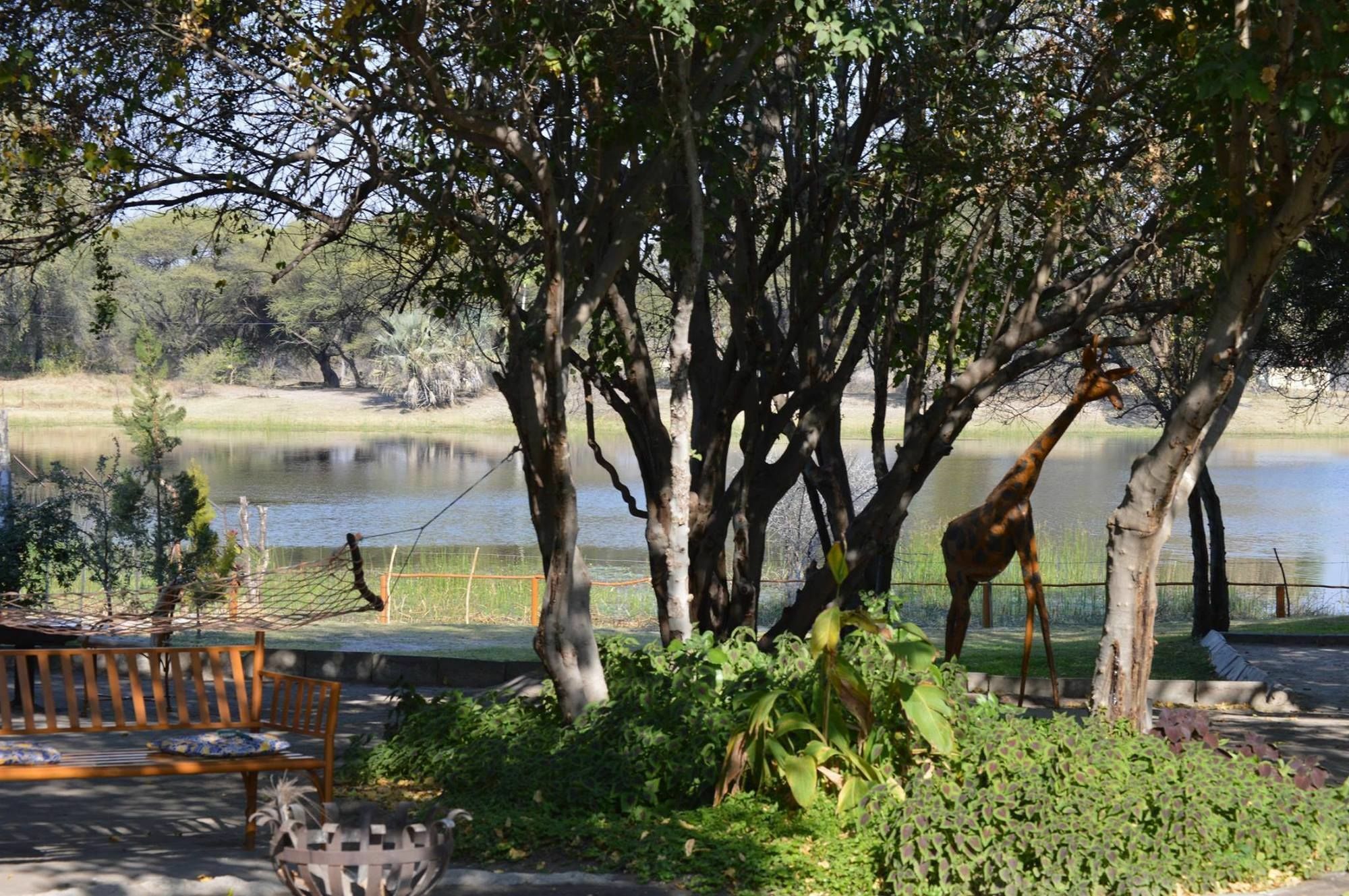 Motsebe Backpackers Hotel Maun Exterior photo